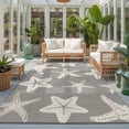 thumbnail image 2 of Area Rugs 2.7'x5', Grey Starfish Coastal Carpet Runner Indoor Outdoor Rugs Home Decor Aesthetic, Nautical Summer Ocean Abstract Art Non Slip Mats Washable Accent Rug for Living Room Bedroom, 2 of 8