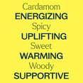 thumbnail image 4 of Plant Therapy Cardamom Essential Oil 5 mL (1/6 oz) 100% Pure, Undiluted, 4 of 6