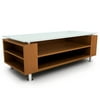 Contemporary 48" TV Stand