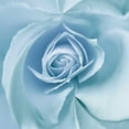 thumbnail image 2 of Delimont, Danita 20x20 White Modern Wood Framed Museum Art Print Titled - Blue Embrace, 2 of 4