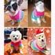 thumbnail image 4 of Billuyoard Chaleco hecho punto cómodo y acogedor del suéter caliente del perro del poliéster para el suéter del jersey del perro del invierno Ropa para mascotas Como se muestra S, 4 of 6
