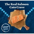 thumbnail image 3 of Blue Buffalo Wilderness Natural High Protein Dry Food for Adult Cats, Salmon, 4-lb Bag, 3 of 12