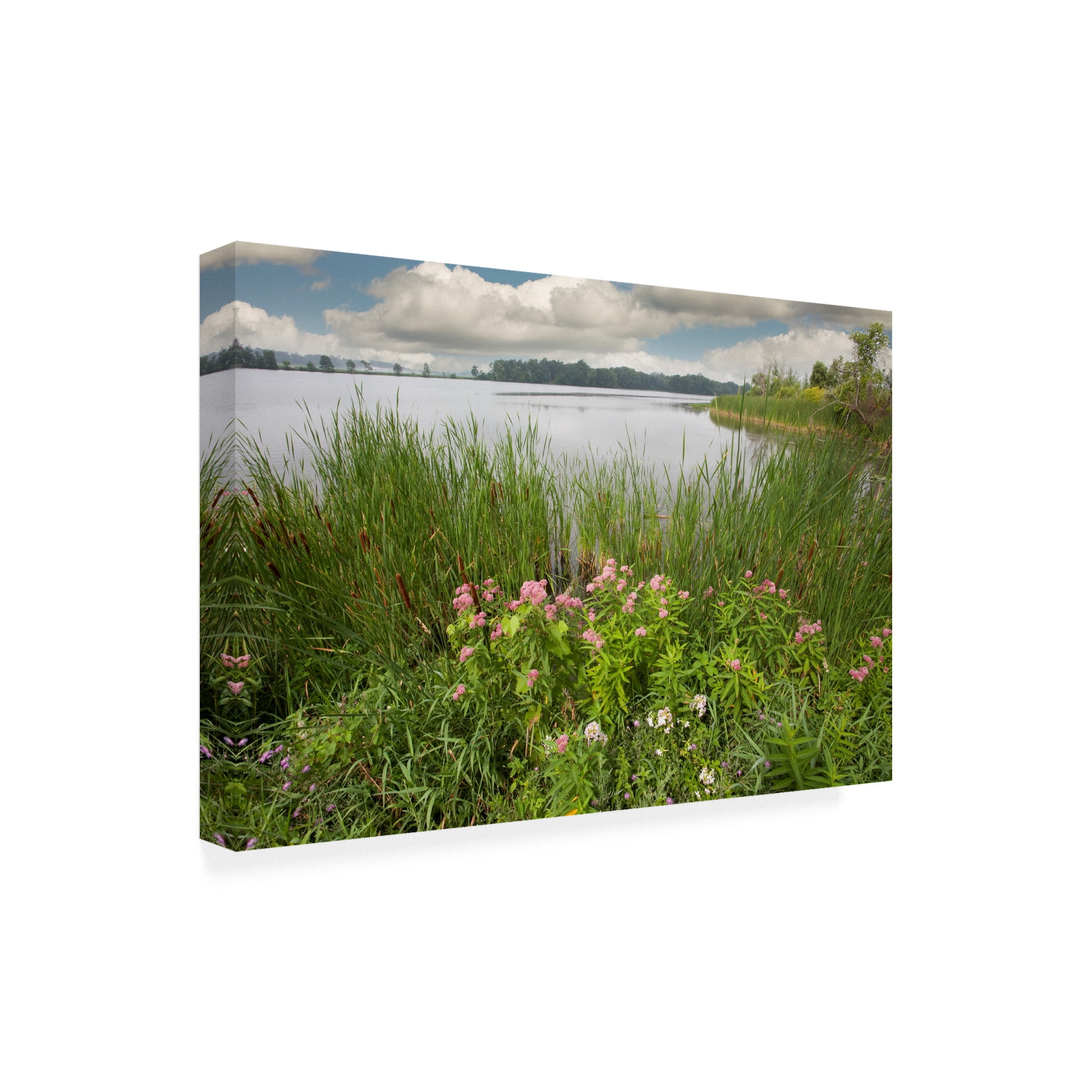 Trademark Fine Art 'St. Joseph River Centreville Michigan' Canvas Art by Monte Nagler