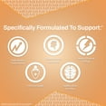 thumbnail image 6 of NutraBio Multisport for Men - Mens MultiVitamin - 33 Vitamins, Minerals, Micronutrients - Rich in Antioxidants - Supports Peak Athletic Performance, Energy, Metabolism (120 Vegetable Capsules), 6 of 9