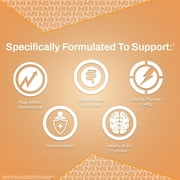 NutraBio MultiSport for Men Multivitamin with 33 Essential Vitamins, Minerals & Micronutrients - 120 Capsules