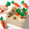 thumbnail image 1 of Juguete Montessori Goryeo Baby para bebés y niños pequeños con zanahoria, 1 of 6