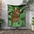 thumbnail image 3 of Indonesia, Bali, Sulawesi. Close-Up Of Tarsier. Smallest Primate. , Woven Blanket, 3 of 4