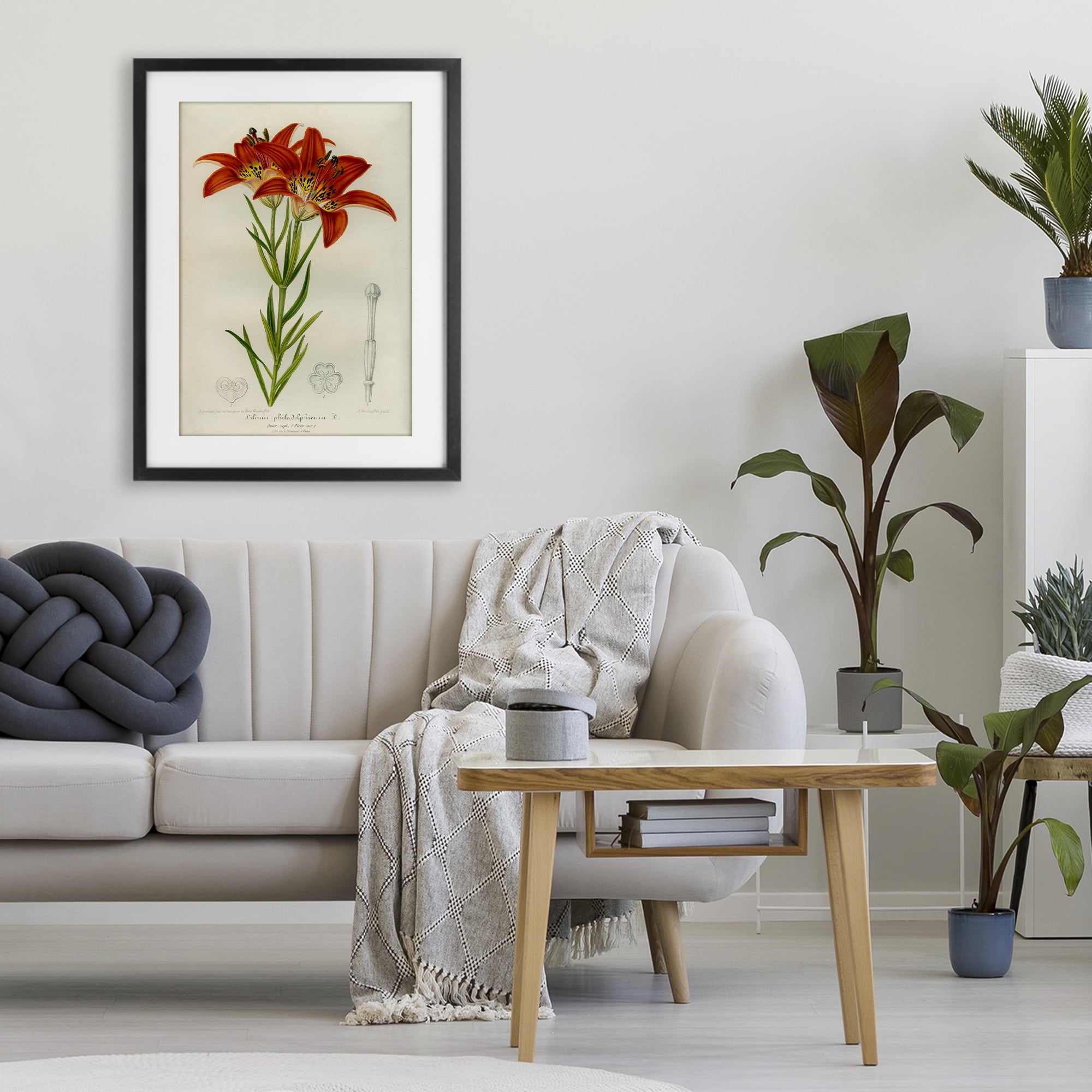 Stupell Industries Western Red Lily Black Framed Print Under Glass, design by Print Collection