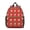 Cat and Dog, variant on Cat and Dog Red Pattern Backpack for School, Cute School Bag with Adjustable Shoulder Straps and Padded Back, 13.8"x11.4"x6"