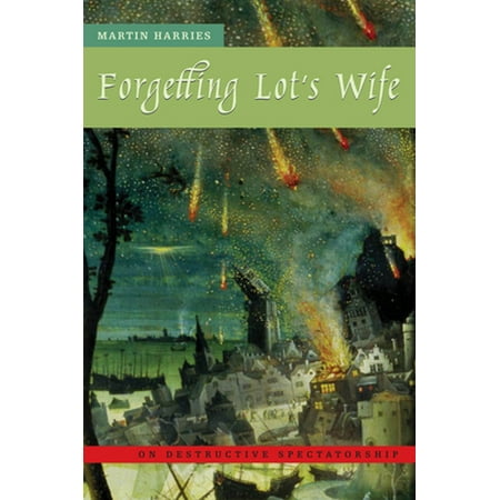 Forgetting Lot's Wife: On Destructive Spectatorship [Paperback - Used]