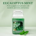 thumbnail image 2 of Village Candle Eucalyptus Mint Scented Candle, Large 21.25 oz Apothecary Jar, 2 of 9