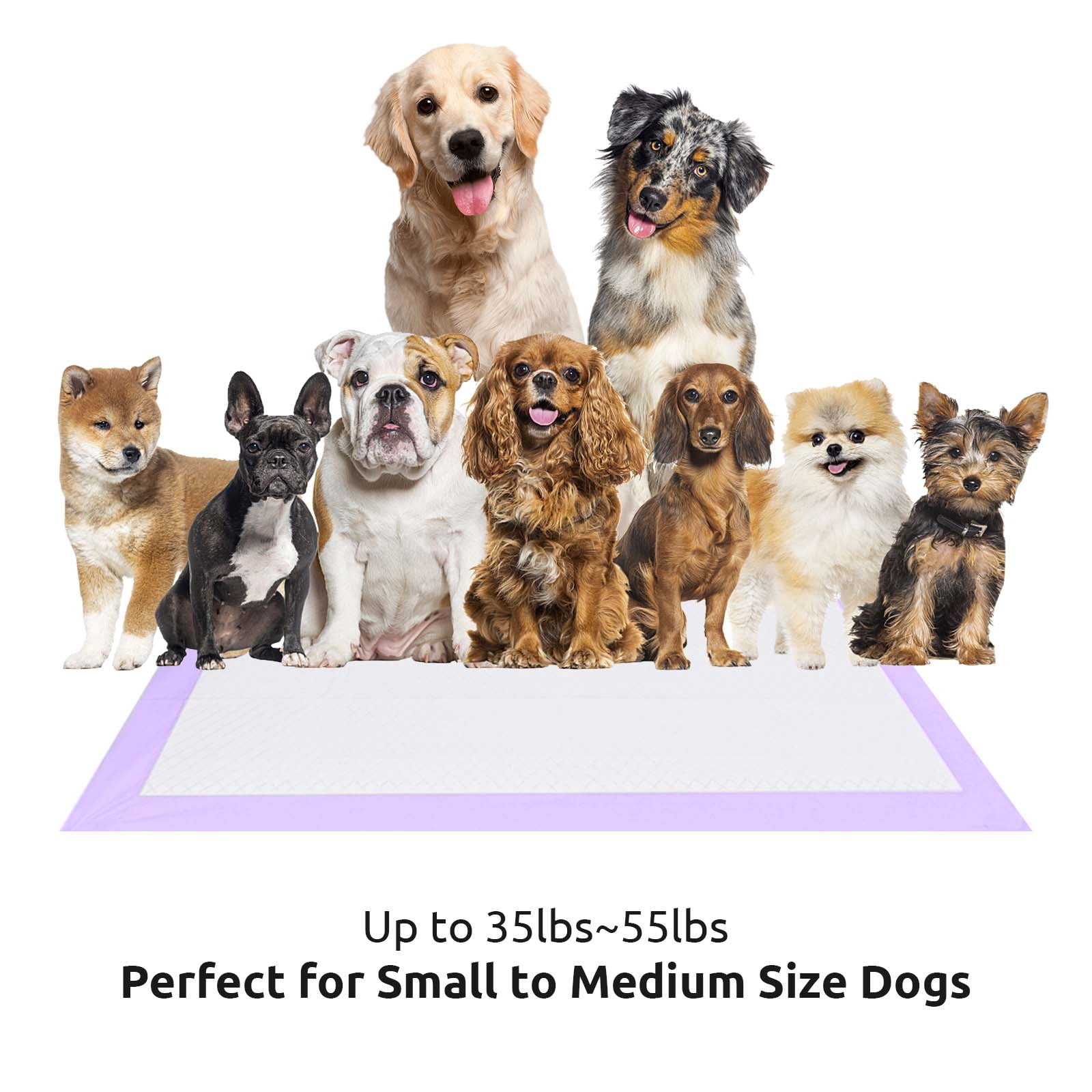 Petfamily Dog Training Pads, Puppy Pads, Super Absorbent, XL, 26 in x 30 in, 40 Count