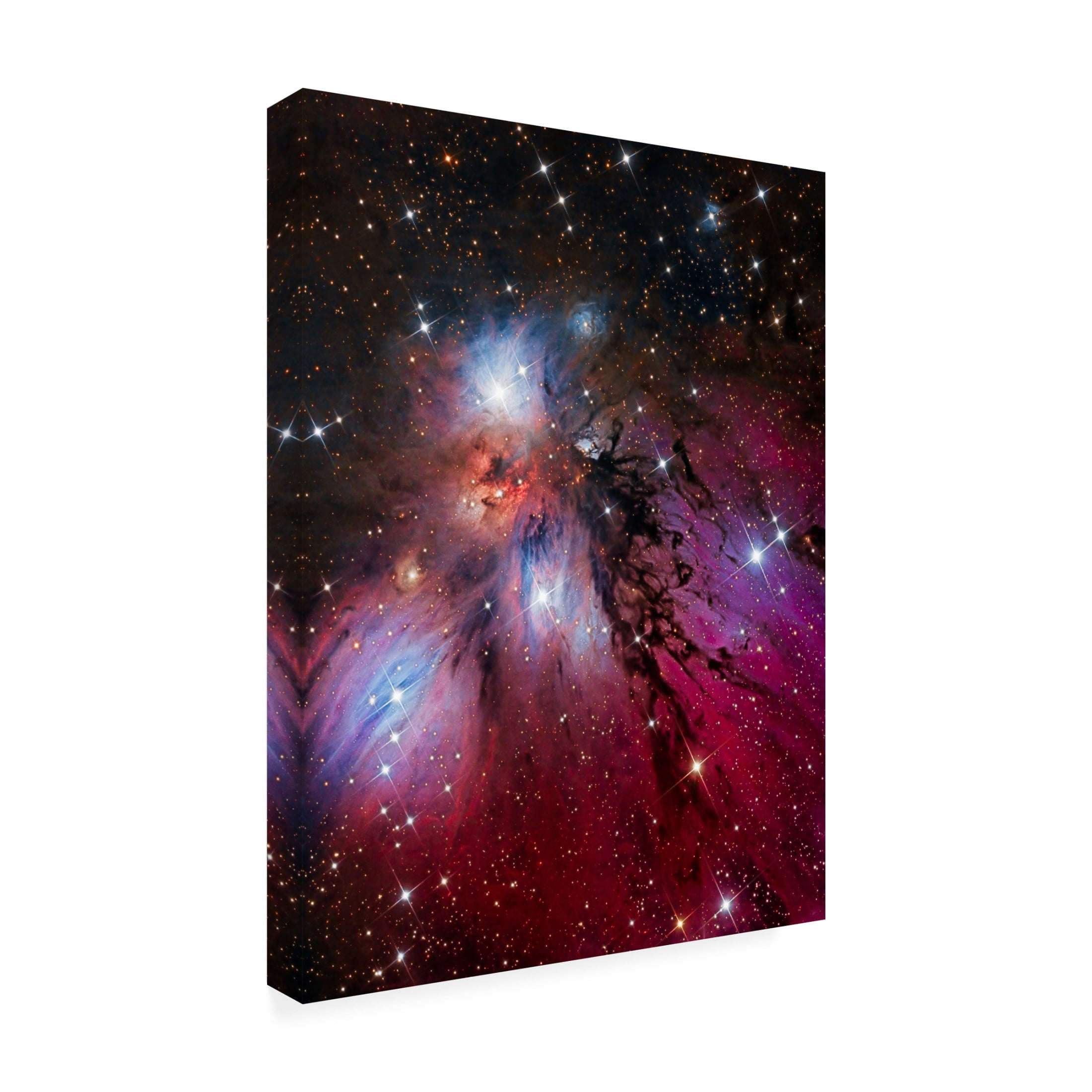 Trademark Fine Art Vikas Chander The Angel Nebula Canvas Wall Art