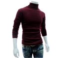 thumbnail image 1 of Pull Col Roulé pour Hommes, 1 of 2