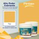 thumbnail image 2 of PINTEX Kit Pinta-me 2 Galones Pintura Vinil-Acrílica 3.8 L c/u | Incluye Brocha, Rodillo, Felpas, Masking Tape y Plastiprotector | Acabado Mate | Interiores y Exteriores | Paja, 2 of 5