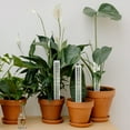 thumbnail image 1 of unbranded 4Ud Columna Para Plantas De Jardín Soporte Durable Para Crecimiento Recto, 1 of 8