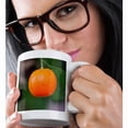 thumbnail image 2 of 3drose, Photo of an Orange Tangerine or Mandarin Fruit on a Tree, 11oz Magic Transforming Mug, 2 of 7