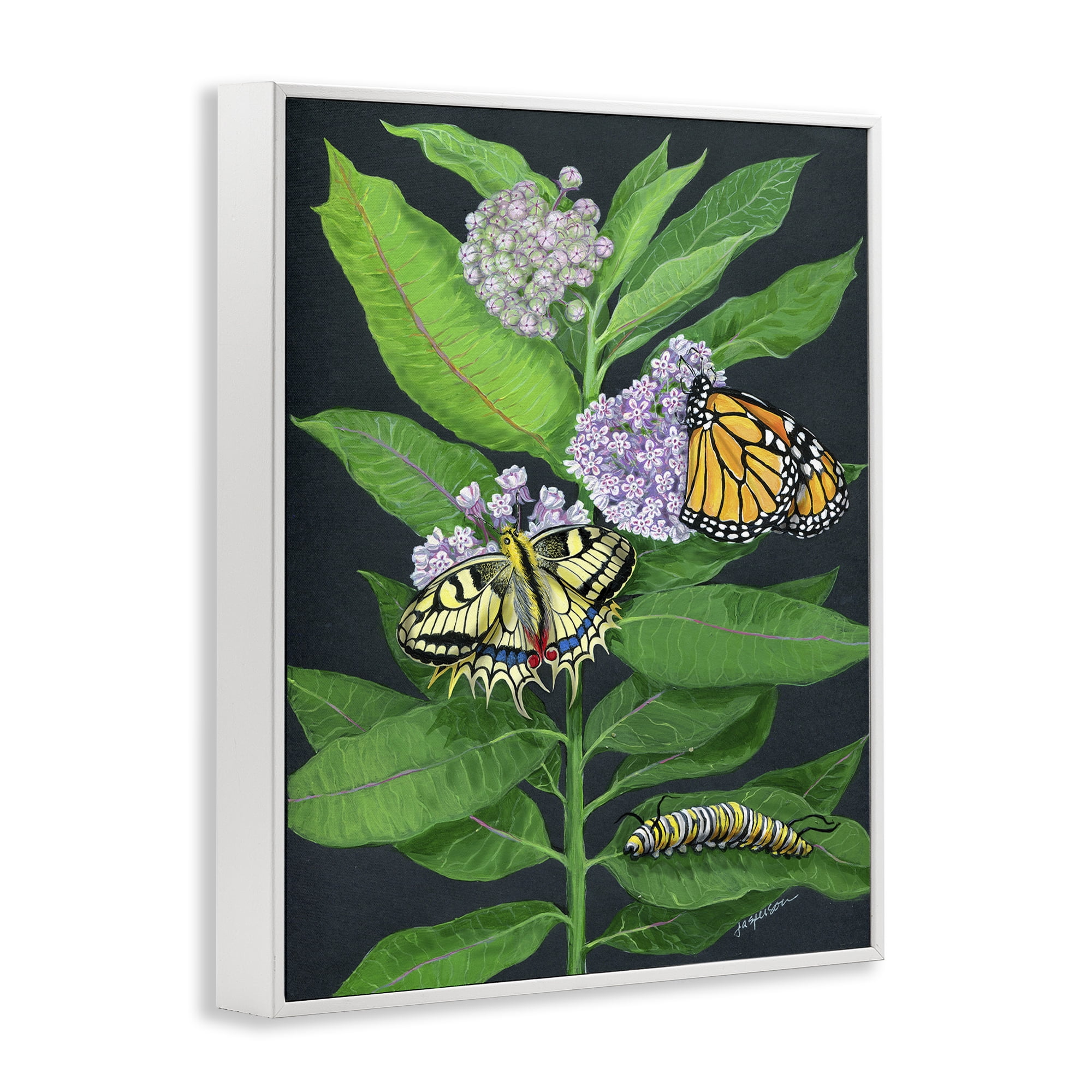 Stupell Industries Vintage Milkweed & Insects Animals & Insects Painting White Framed Art Print Wall Art, 16 x 20