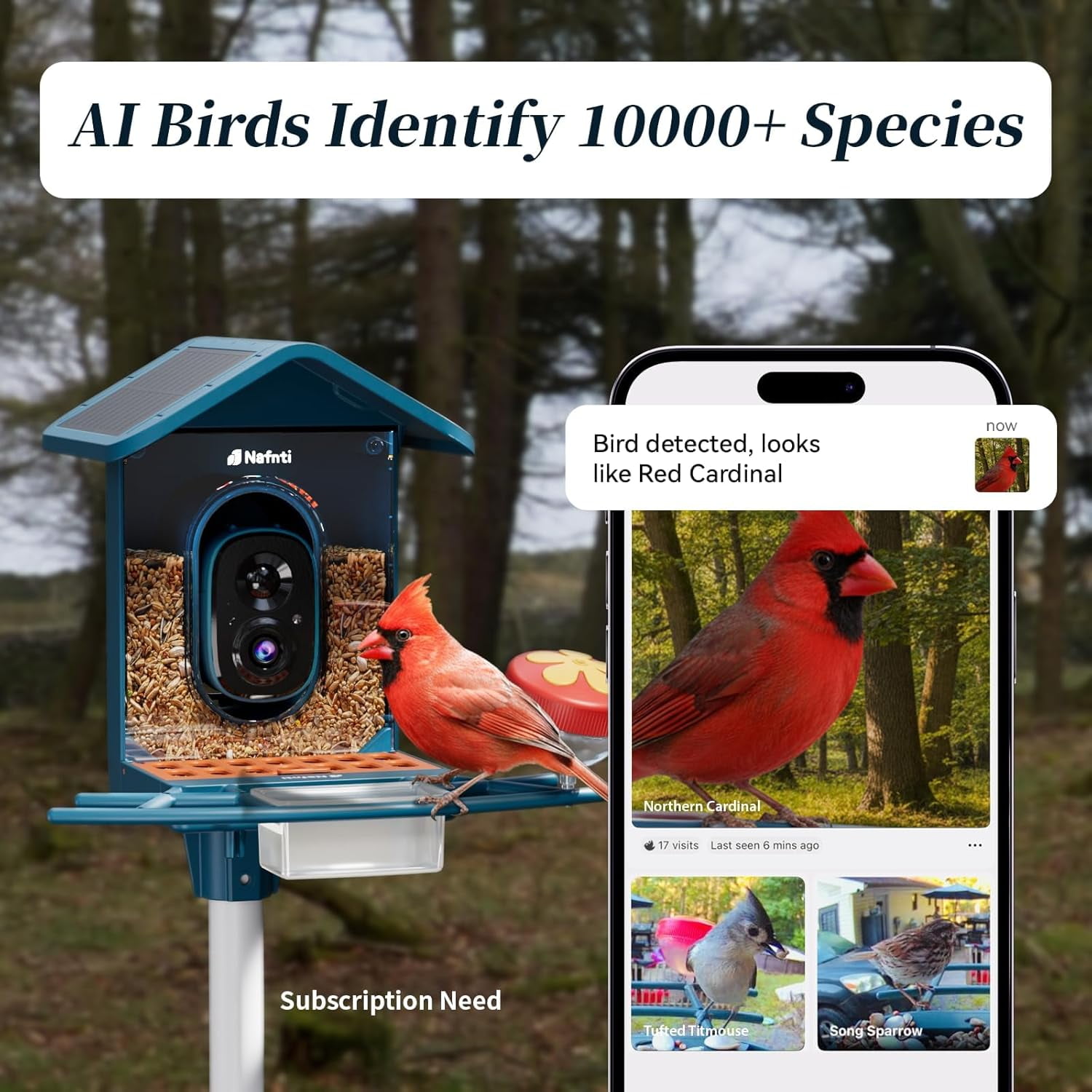 Smart Bird Feeder with Camera Solar Powered, 5GHz/2.4GHz, 2K HD Live View, AI Bird Species Identify, Instant Arrival Alerts, Weatherproof Outdoor Bird Feeder Camera, Best for Bird Lovers