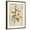 Brown Frame, variant on Art.com Magnolia Etching Art Print by Chad Barrett, Black Frame Wall Art, 32" x 40"