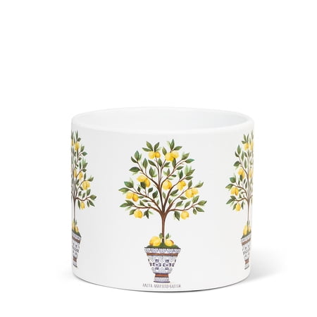 Set of 6 Lemon Tree Small Planter