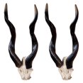 thumbnail image 3 of Design Toscano Kudu African Wall Trophy: Set of Two, 3 of 3