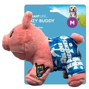 Vibrant Life Cozy Buddy Dog Toy, Hula Pig, Medium