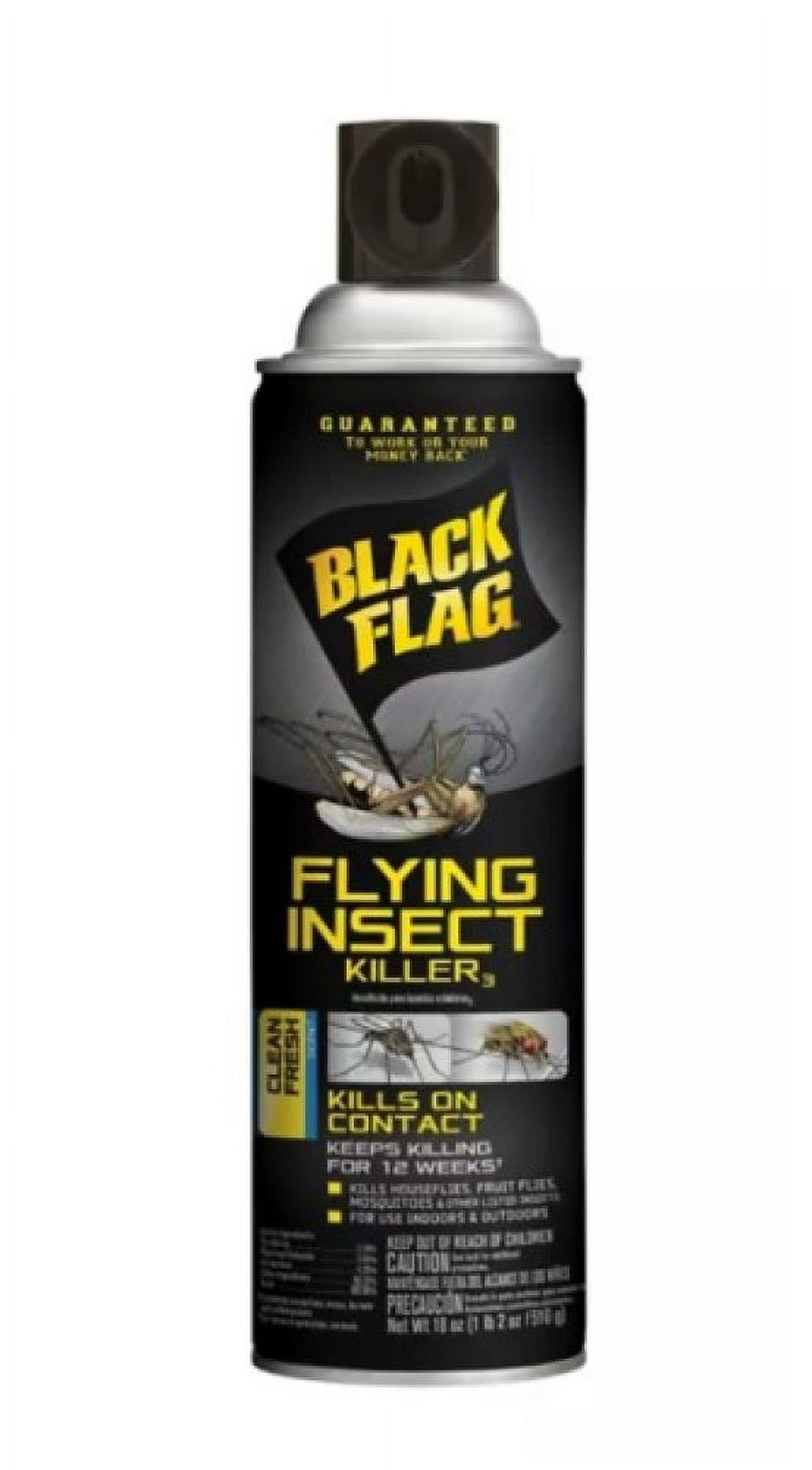 Black Flag Indoor & Outdoor Spider and Scorpion Killer, 16oz