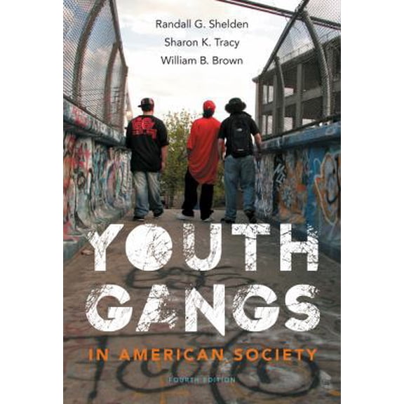 Pre-Owned Youth Gangs in American Society (Paperback) 1133049567 9781133049562