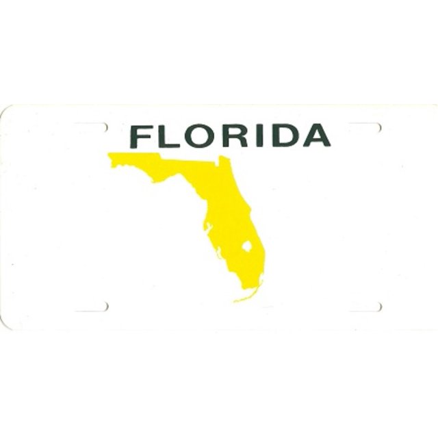 Design It Yourself Florida Bicycle Plate #6. Free Personalization on Plate