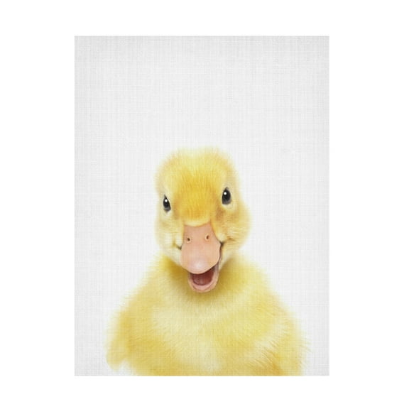 Trademark Fine Art Lola Peacock Peekaboo Baby Duck Canvas Wall Art