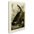 thumbnail image 2 of Trademark Fine Art 'Canada Gooseplate 201' Canvas Art by Audubon, 2 of 3