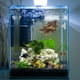 thumbnail image 2 of Tierra de desove de Betta, hoja de pez Betta, cama de descanso para cría de Betta para pecera, 2 of 6
