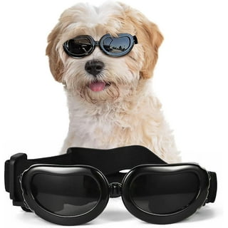 Dog goggles canada deals