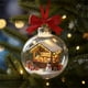 thumbnail image 3 of Rapeiae Natural Wonders Series Christmas Ball Flat Acrylic Pendant, 3 of 5