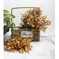 thumbnail image 2 of Babys Breath Silk Artificial Flowers 6 Bundle European Fake Plants Decor Wedding Party Fall Stems Decoration Bouquets DIY Home Garden (Beige Brown-6pcs), 2 of 5