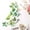 Green, variant on Sonbest 12 Pcs Double-decker DIY 3D Artificial Butterflies Stickers for House Home Refrigerator Tile Decor Removable Waterproof Self-Adhesive White