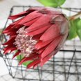 thumbnail image 4 of Coofit Artificial Flower Lifelike Protea Flower Arrangement Vase Flower for Wedding, 4 of 6
