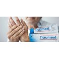 Heel Traumeel S Homeopathic Ointment 100g AntiInflammatory & Pain