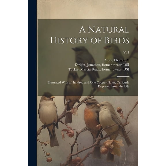 A Natural History of Birds (Paperback)