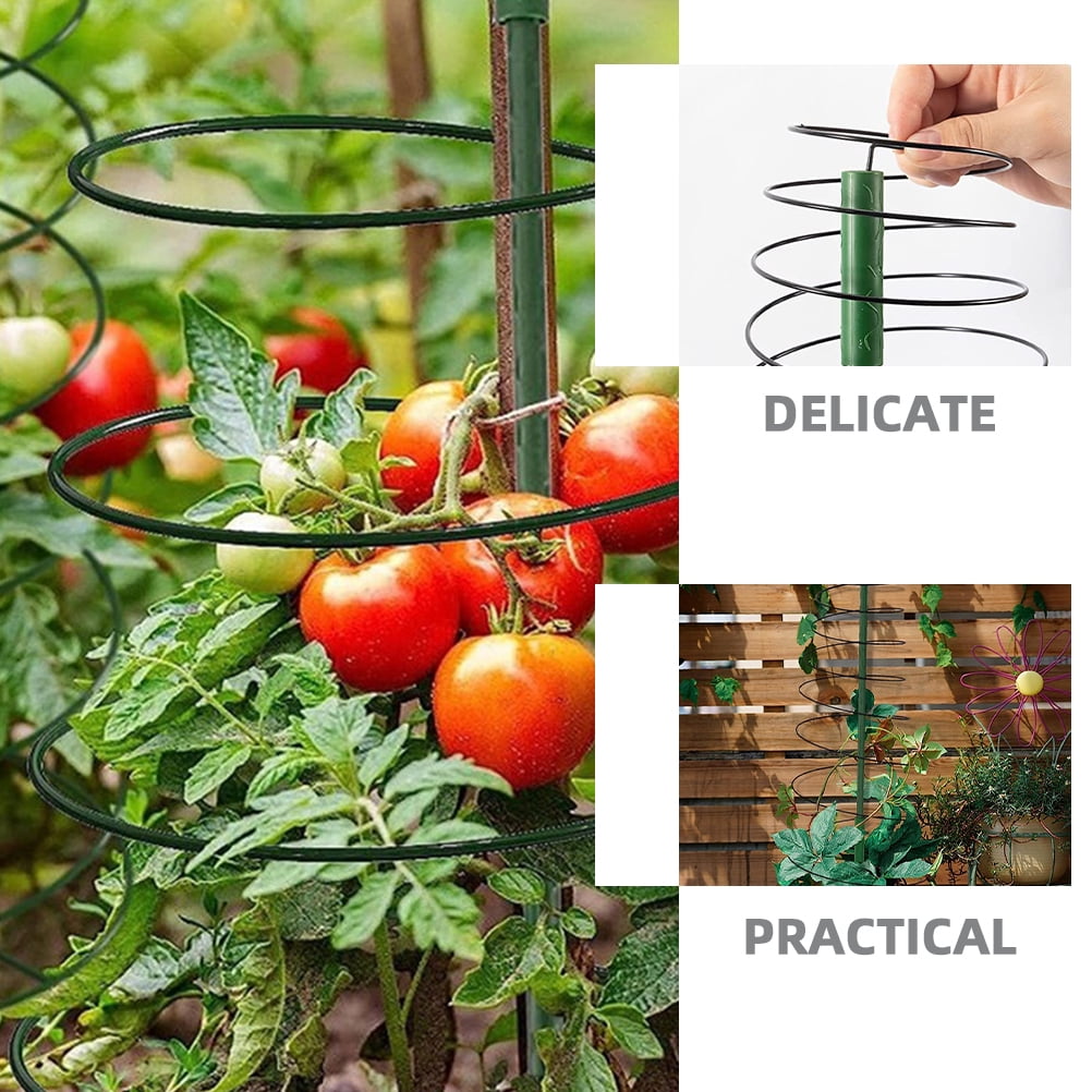 2 Sets Plant Support Potted Trellis Plants Tomato Vine Indoor Holder Garden for Climbing Metal