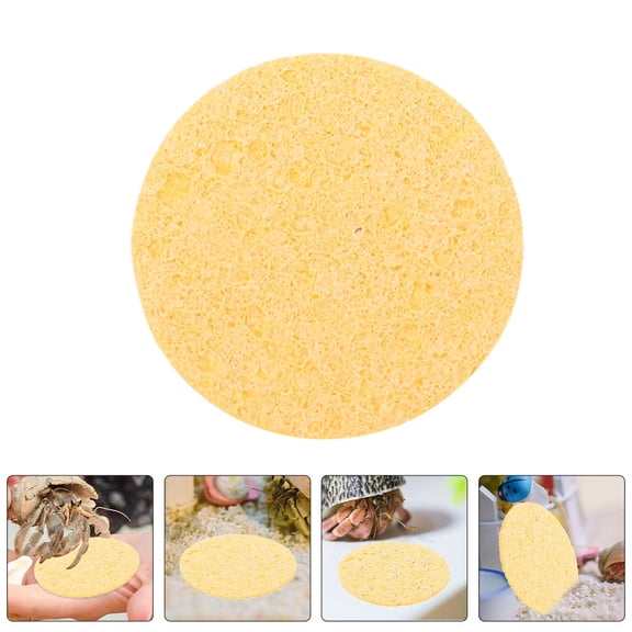 OATIPHO 10Pcs Yellow Natural Sea Sponges for Crab Tank Humidity and Aquarium Pet Supplies