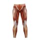 thumbnail image 3 of Leggings anatómicos de cintura alta ZHAOCHENG para mujer L, 3 of 5
