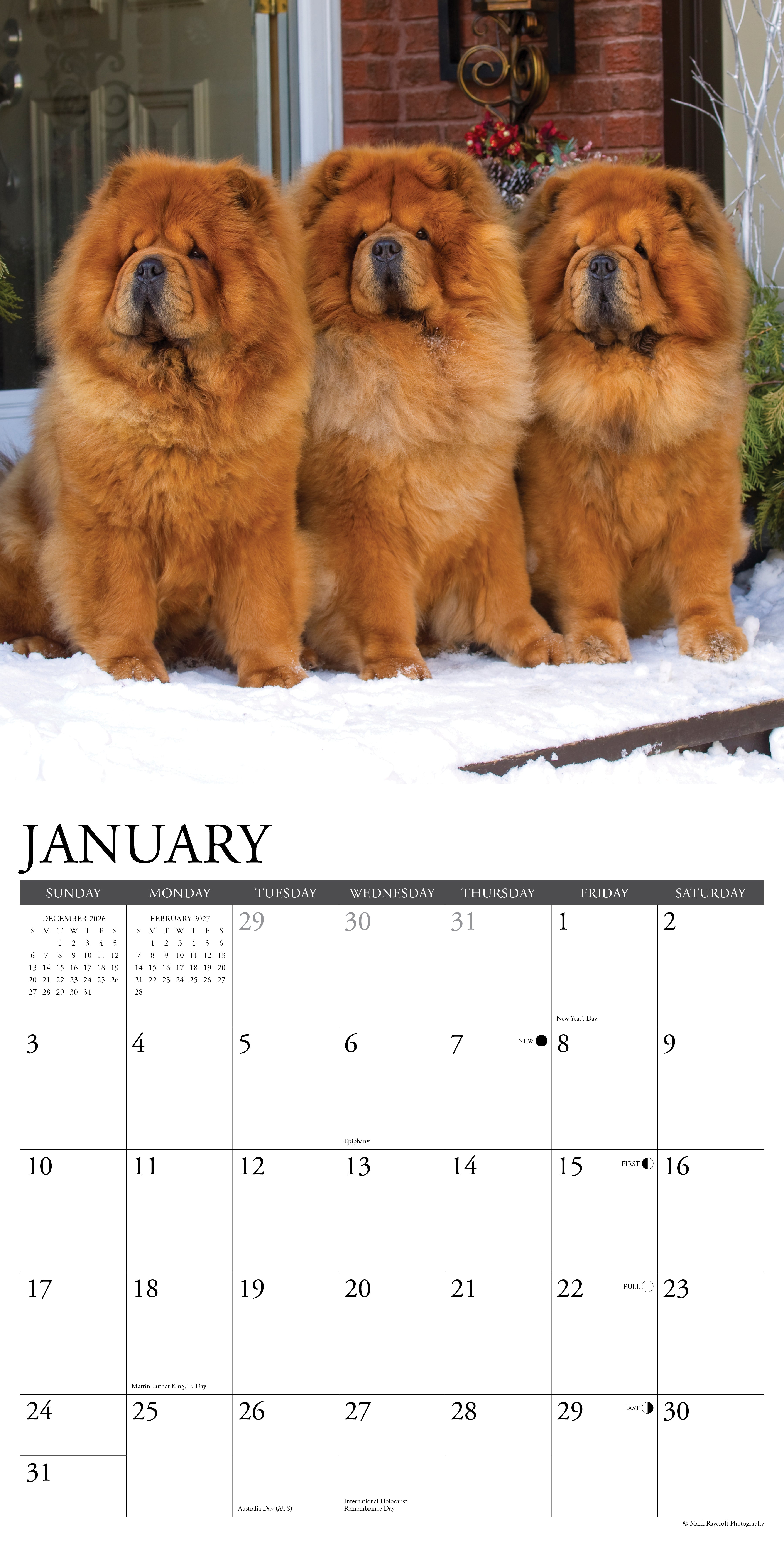 Willow Creek Press, Chow Chows 2027 Wall Calendar