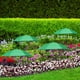 thumbnail image 3 of Sombrilla Ajustable para Plantas En Maceta de Exterior - Protección Solar de 50 Cm con Poste Telescópico para Jardineras y Parterres, 3 of 6