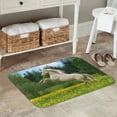 thumbnail image 7 of Sikiie Horse Rearing Up In The Field Print Flannel Anti-slip Floor Mat 16x24in, Thickened Dustproof Entrance Door Mat Floor Mat for Kitchen, Bathroom, Laundry Room, 7 of 7