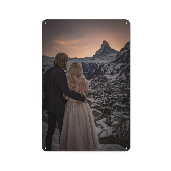 Velaris Hanging Picture Tin Hanging Picture Wall Poster Metal Painting Creativity Poster Home Decor Painting Anime Goods Gift 30x20cm