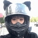thumbnail image 4 of 2 uds orejas de gato de peluche bonitos accesorios para casco casco de esquí casco de motocicleta casco de Snowboard (casco no incluido), 4 of 7