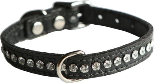 crystal dog collar