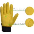 thumbnail image 4 of Guantes de jardinería de cuero para mujeres y hombres (2 pares) Guantes de trabajo de jardín para mujeres Guantes de jardinería duraderos y resistentes a las espinas - 2 pares (medianos,, 4 of 5